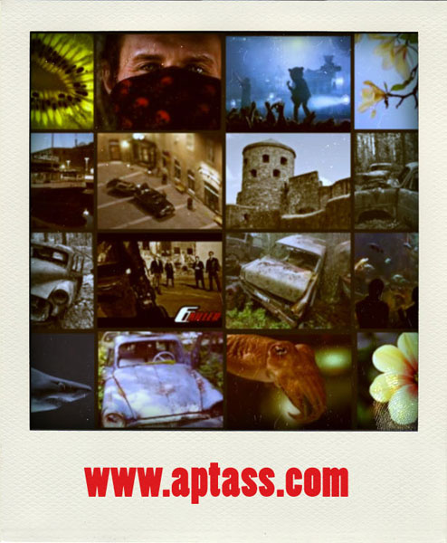 www.aptass.com